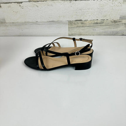 Easy Spirit Women's Glenni Sandal, Black, 10 Wide