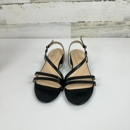 Easy Spirit Women's Glenni Sandal, Black, 10 Wide