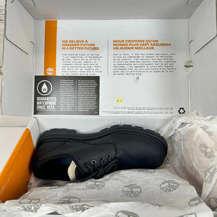 Timberland Men's Britton Road Low Lace-Up Waterproof Shoe, Black Full Grain,8.5M